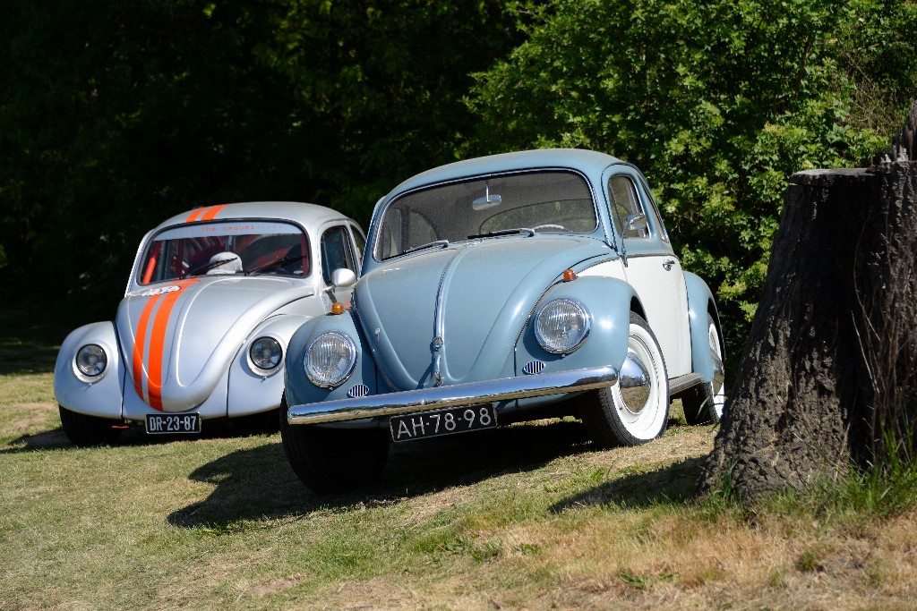 ../Images/Beetle at the beach 2022 111.jpg